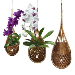 PANWA Handmade 100% Thai Bamboo Hanging Orchid Basket – 4 Inch, 5 Inch, 6 Inch (Triple Set)