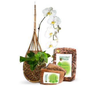 PANWA Handmade 100% Thai Bamboo 6 Inch Signature Super Sanctuary SIAM Orchid Kit Hanging Basket Large Bird Nest Style with Nursery Grade Coconut Shell Staves Coir Pith Sponge & Husk Mulch