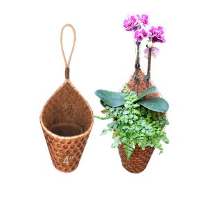 PANWA Coconut Coir Cornucopia (4 Inch 2-Pack)